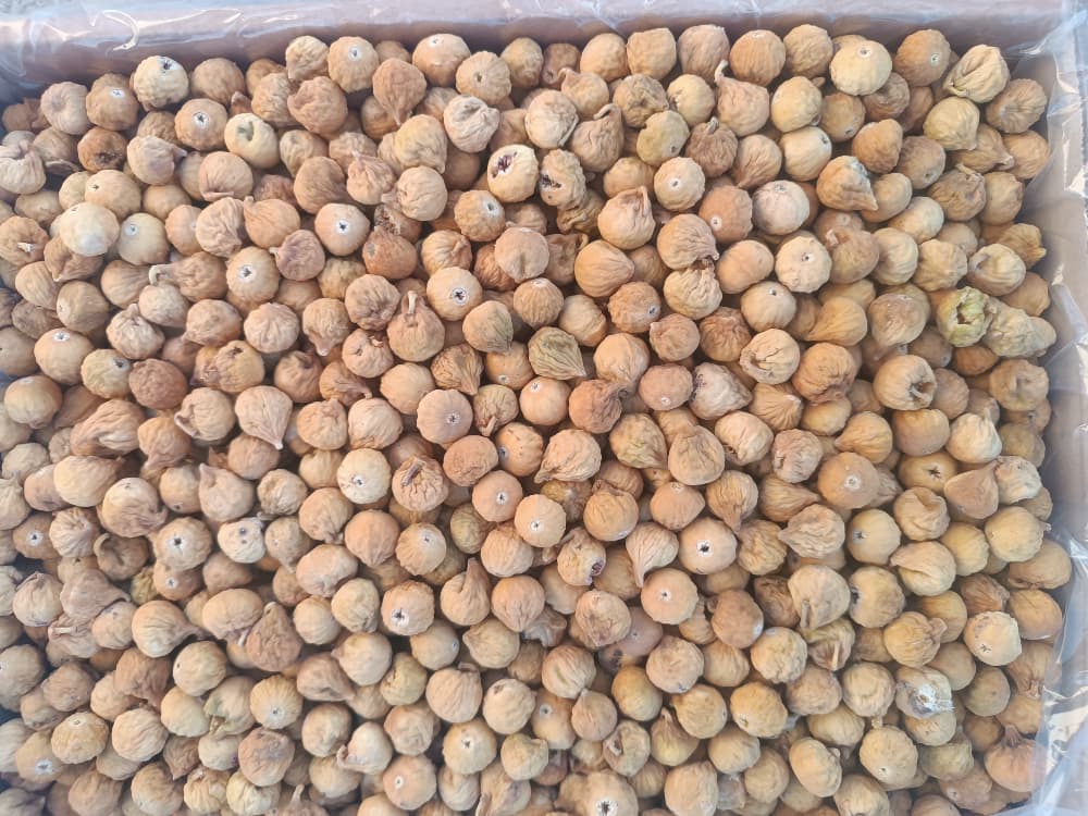 فروش ویژه انجیر درجه یک و لوکس + فروش فوق العاده